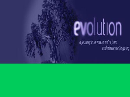 Patterns of Evolution Convergent Evolution Divergent Evolution