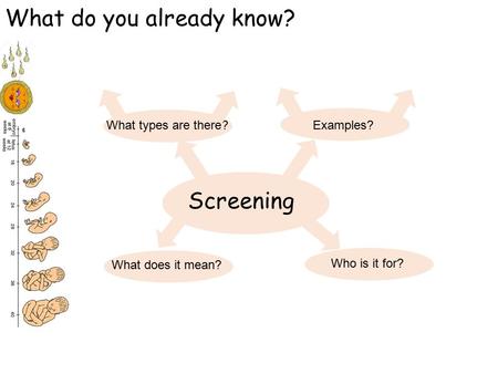 Screening What do you already know? What types are there? What does it mean? Who is it for? Examples?
