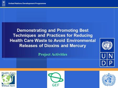 Demonstrating and Promoting Best Techniques and Practices for Reducing Health Care Waste to Avoid Environmental Releases of Dioxins and Mercury Project.