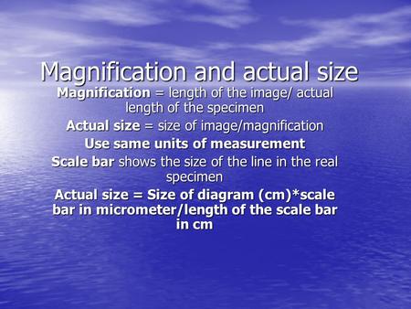 Magnification and actual size Magnification = length of the image/ actual length of the specimen Actual size = size of image/magnification Use same units.