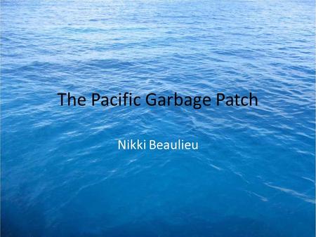 The Pacific Garbage Patch