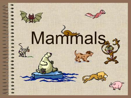 Mammals. Nervous System FACT#1: The brain of a mammal is 15 x heavier than the brain of a similarly sized fish, amphibian or reptile.