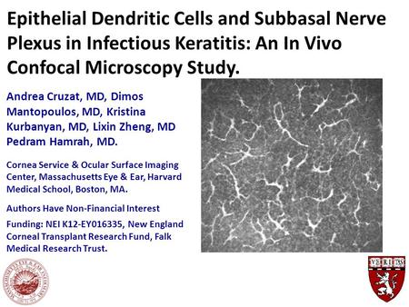 Epithelial Dendritic Cells and Subbasal Nerve Plexus in Infectious Keratitis: An In Vivo Confocal Microscopy Study. Andrea Cruzat, MD, Dimos Mantopoulos,