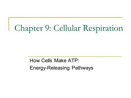 Chapter 9: Cellular Respiration