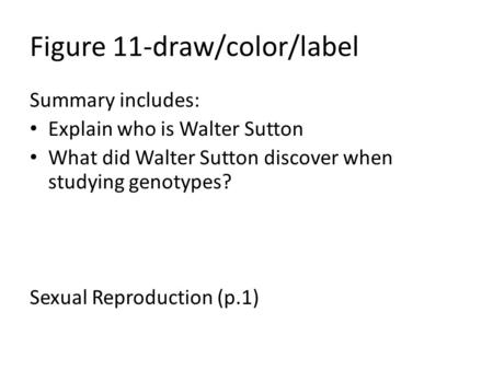 Figure 11-draw/color/label Summary includes: Explain who is Walter Sutton What did Walter Sutton discover when studying genotypes? Sexual Reproduction.
