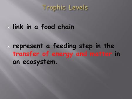  link in a food chain  represent a feeding step in the transfer of energy and matter in an ecosystem.