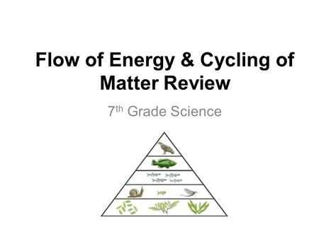 Flow of Energy & Cycling of Matter Review 7 th Grade Science.