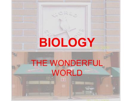 BIOLOGY THE WONDERFUL WORLD. Tracy Mize Biology S and Biology G E-mail is best way to contact me Also work as Athletic Trainer.