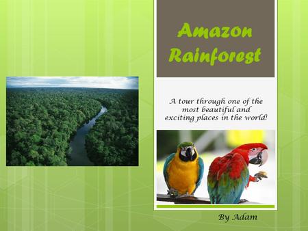 Amazon Rainforest By Adam A tour through one of the most beautiful and exciting places in the world!