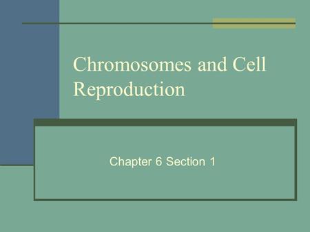 Chromosomes and Cell Reproduction Chapter 6 Section 1.