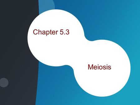 Chapter 5.3 Meiosis. Chromosomes –Contain instructions for traits –Found on Genes Segments of DNA Code for specific proteins –46 found in the human cells.