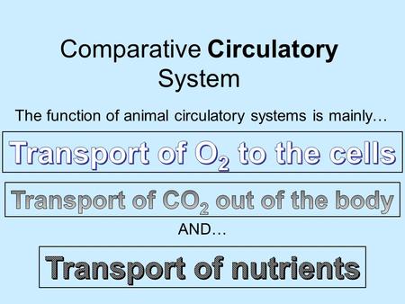 Comparative Circulatory System