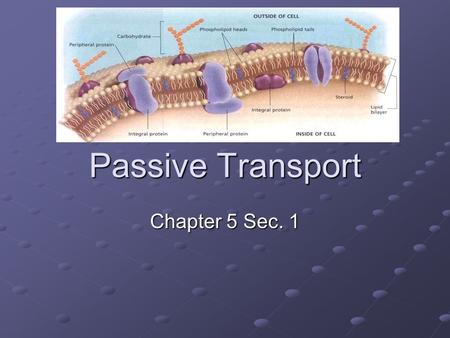 Passive Transport Chapter 5 Sec. 1.