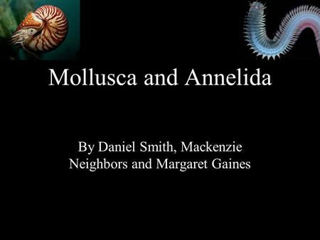Mollusca and Annelida By Daniel Smith, Mackenzie Neighbors and Margaret Gaines.