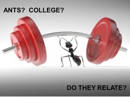 ANTS? COLLEGE? DO THEY RELATE?. 3 Simple Steps for Any Application APPLY NAVIANCE TRACK.
