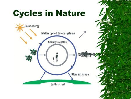 Cycles in Nature.  Where matter is recycled but never replenished. –It is never lost.  Sunlight= primary source of energy.