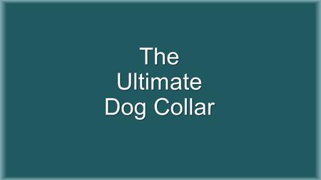The Ultimate Dog Collar. The Team Faculty Advisor Dr. Patrick Donohoe Daniel Stevenson (Electrical Engineering) Kaytan Mills (Electrical Engineering)