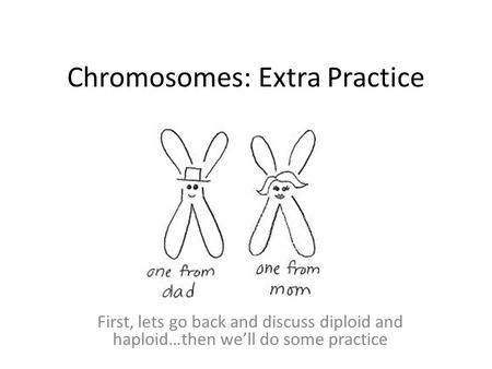 Chromosomes: Extra Practice First, lets go back and discuss diploid and haploid…then we’ll do some practice.