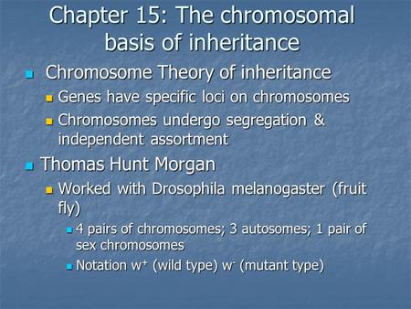 Chapter 15: The chromosomal basis of inheritance Chromosome Theory of inheritance Chromosome Theory of inheritance Genes have specific loci on chromosomes.