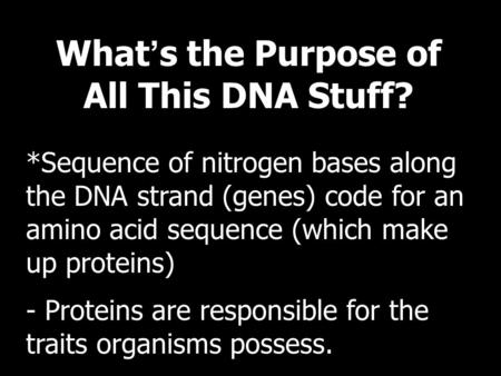 What ’ s the Purpose of All This DNA Stuff? *Sequence of nitrogen bases along the DNA strand (genes) code for an amino acid sequence (which make up proteins)