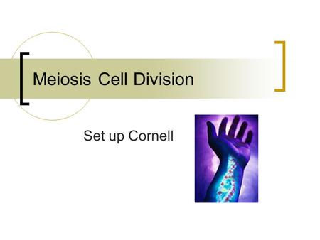 Meiosis Cell Division Set up Cornell. A. What is Meiosis? All organisms that reproduce sexually undergo meiosis. Meiosis is cell division of sex cells.