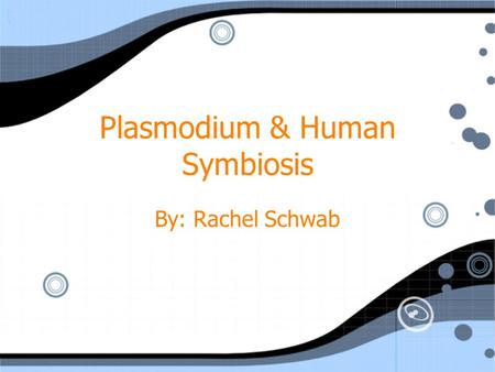 Plasmodium & Human Symbiosis By: Rachel Schwab. Evasive Parasite Plasmodium hide in the human liver and in blood cells They hide from the immune system.