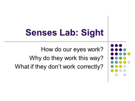 Senses Lab: Sight How do our eyes work? Why do they work this way?