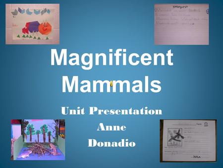 Unit Presentation Anne Donadio