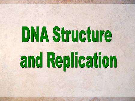 DNA Structure and Replication.