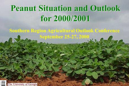 Peanut Situation and Outlook for 2000/2001 Southern Region Agricultural Outlook Conference September 25-27, 2000.