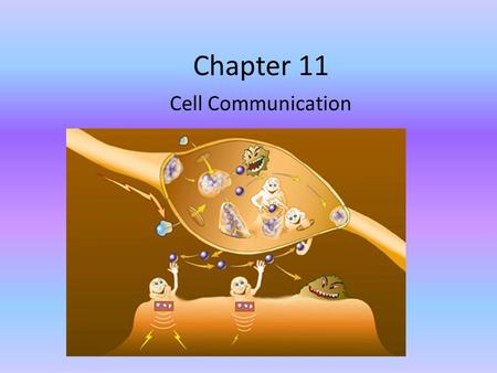 Chapter 11 Cell Communication. Single Transduction Pathway The process in which a signal on a cells surface is converted into a specific cellular response.