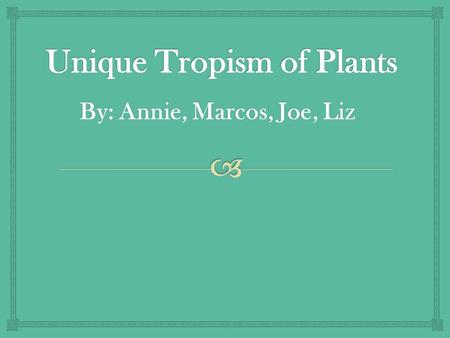 By: Annie, Marcos, Joe, Liz.   Tropism in plants are a growth or movement in response to a direct stimulu s What is Tropism in Plants ?