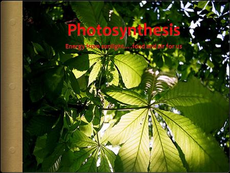 Photosynthesis is cellular respiration in reverse for plants  In animals, we use GLUCOSE and OXYGEN to create energy.  The mitochondria (power plant)