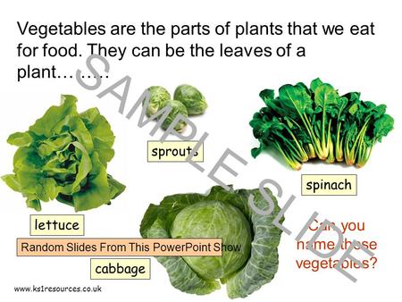www.ks1resources.co.uk Vegetables are the parts of plants that we eat for food. They can be the leaves of a plant……… lettuce spinach cabbage Can you name.