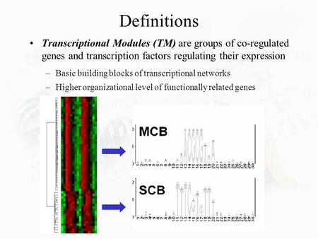 Definitions Transcriptional Modules (TM) are groups of co-regulated genes and transcription factors regulating their expression –Basic building blocks.