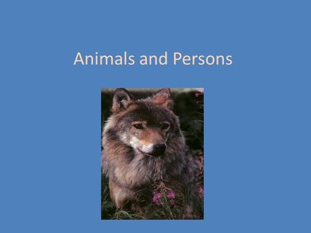 Animals and Persons. Ethical status for animals Kantian and utilitarian ethics traditionally extended to all people, but only people Kant: all rational.