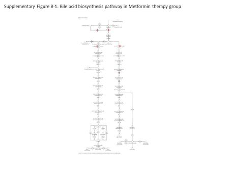 Supplementary Figure B-1. Bile acid biosynthesis pathway in Metformin therapy group.
