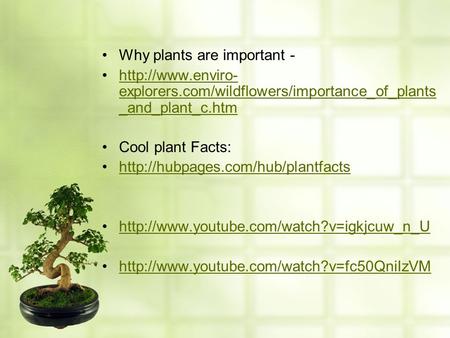 Why plants are important -  explorers.com/wildflowers/importance_of_plants _and_plant_c.htmhttp://www.enviro- explorers.com/wildflowers/importance_of_plants.