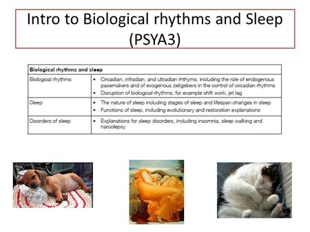 Intro to Biological rhythms and Sleep (PSYA3). Objectives Describe 3 types of Biological Rhythms and give examples. Explain how Endogenous pacemakers.