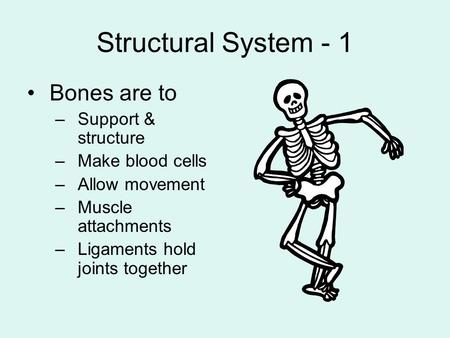 Structural System - 1 Bones are to –Support & structure –Make blood cells –Allow movement –Muscle attachments –Ligaments hold joints together.