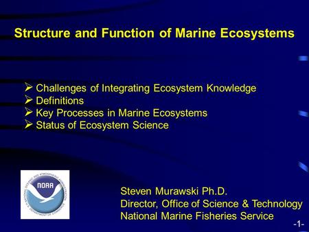 Structure and Function of Marine Ecosystems Steven Murawski Ph.D. Director, Office of Science & Technology National Marine Fisheries Service  Challenges.