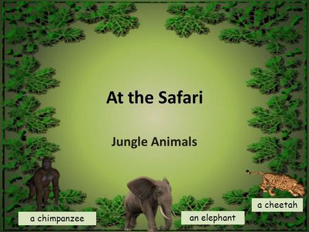 At the Safari Jungle Animals a chimpanzee an elephant a cheetah.