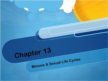 Chapter 13 Meiosis & Sexual Life Cycles. 13.1 Offspring acquire genes from parents by inheriting chromosomes Genes Segments of DNA that code for heredity.