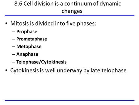8.6 Cell division is a continuum of dynamic changes