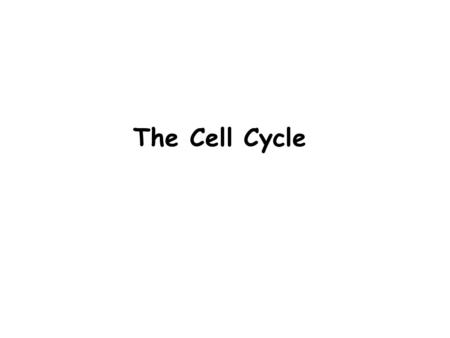 The Cell Cycle. What is the cell cycle? The Stages of the life of the cell Involve: 1. Metabolic activities 2. Division.