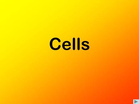 Cells. Cells All living things are made of cells Some have only 1 cell, most are multicellular Most are very tiny Two general types –P–Prokaryotes: no.