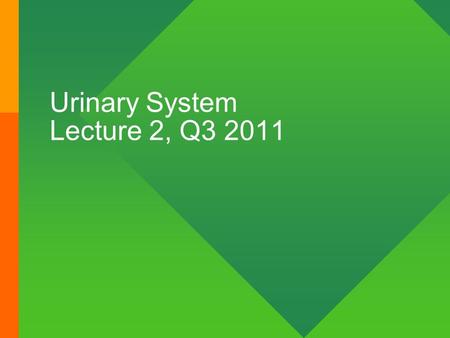 Urinary System Lecture 2, Q3 2011. Nephron functional unit of the kidney.