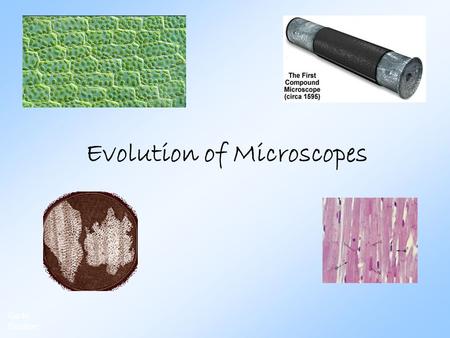 Evolution of Microscopes