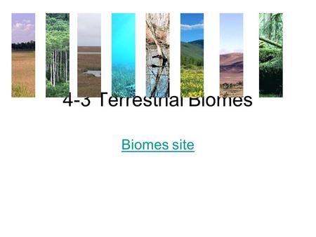 4-3 Terrestrial Biomes Biomes site.