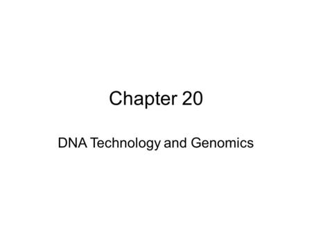 Chapter 20 DNA Technology and Genomics. Biotechnology is the manipulation of organisms or their components to make useful products. Recombinant DNA is.